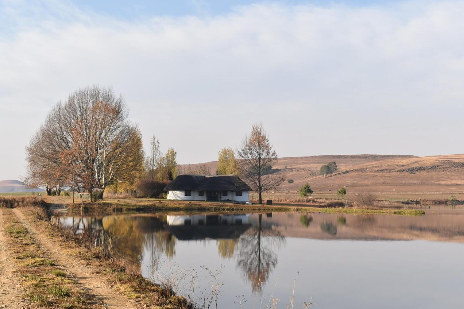 Dieu Donne Cottage Underberg Ngoại thất bức ảnh